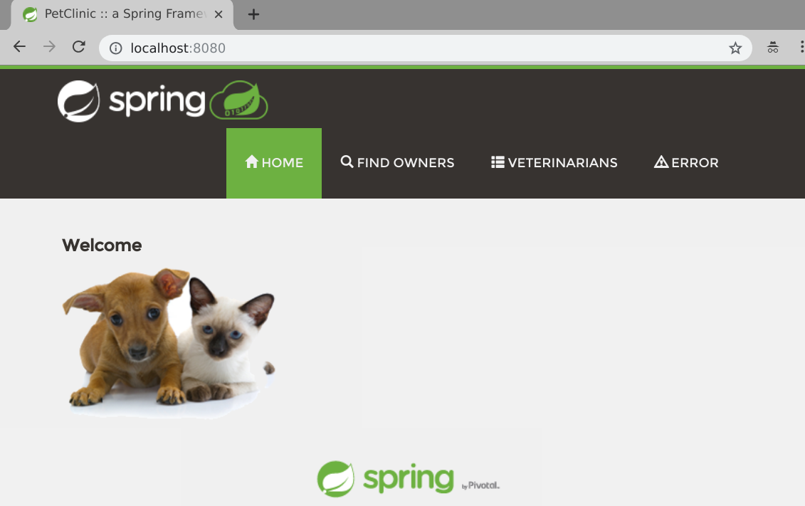 Spring Pet Clinic via Docker